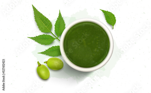 Neem Ayurvedic paste with neem leaves and fruit vector illustration 