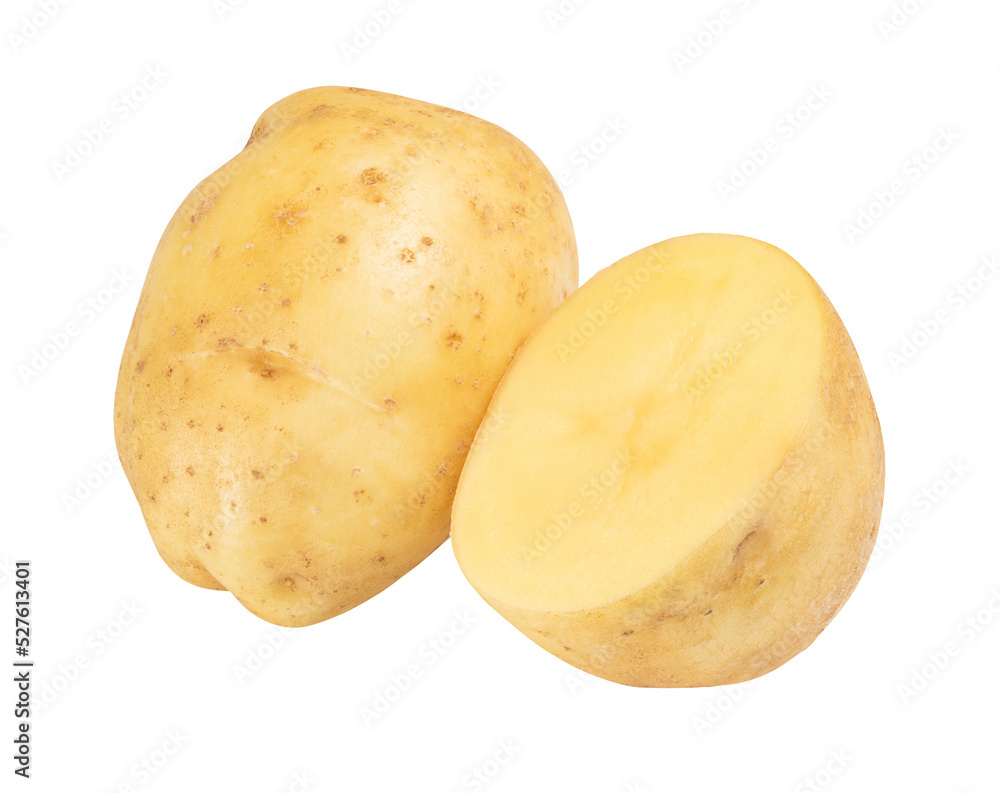 single potato isolated on white. the entire image in sharpness.