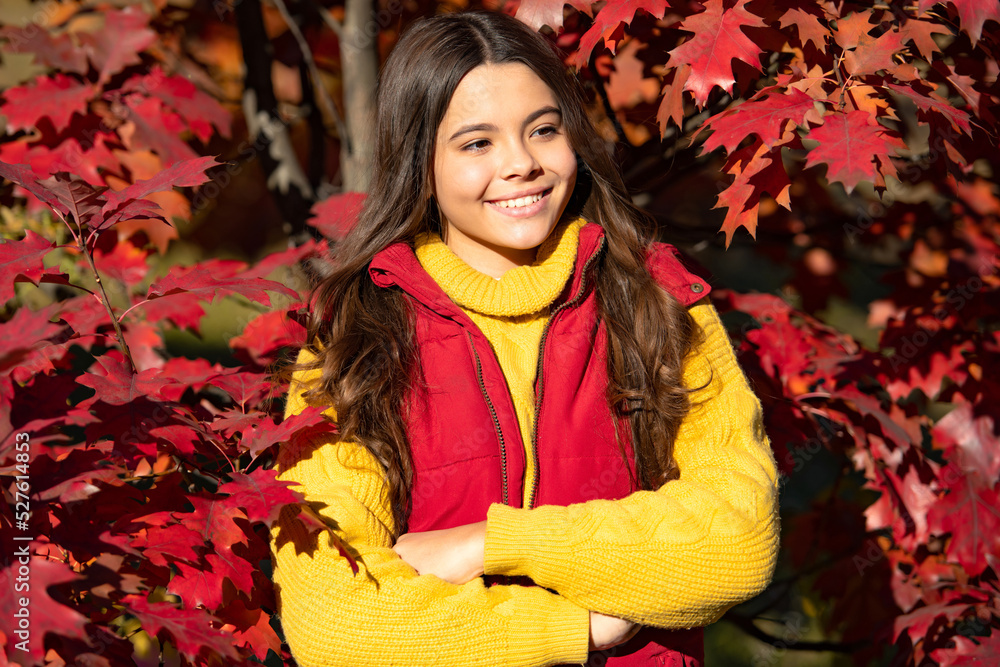 Autumn teen child girl portrait, fall leaves concept. glad child at beautiful seasonal autumn leaves Autumn teen child girl portrait, fall leaves concept. glad child at beautiful seasonal autumn leaves