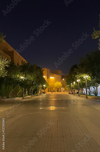 An empty street except for lights and trees at night © faisal