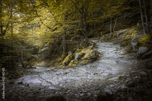 Chemin de randonnée