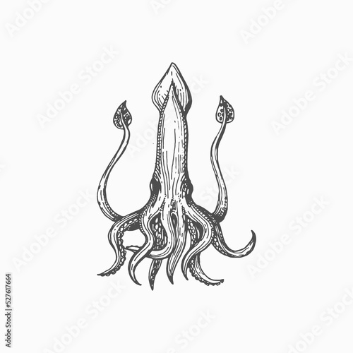 Hooked squid isolated monochrome sketch icon. Vector seafood, raw or cooked squid sea organism marine creature. Squid with eight arms and two tentacles, aquatic underwater animal mascot