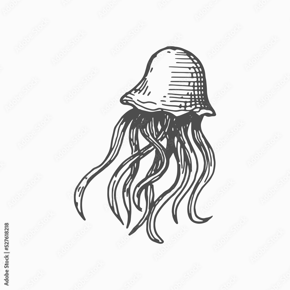 Medusa hand drawn jellyfish isolated sea creature monochrome sketch icon. Vector underwater animal, deep ocean waters sealife character. Swimming marine creature, sea jellies Pacific nettle jellyfish Medusa hand drawn jellyfish isolated sea creature monochrome sketch icon. Vector underwater animal, deep ocean waters sealife character. Swimming marine creature, sea jellies Pacific nettle jellyfish