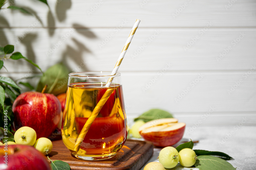 Glass of apple juice and apples in the garden under sunlight. The concept of harvesting the autumn harvest of apples, copy space for text Glass of apple juice and apples in the garden under sunlight. The concept of harvesting the autumn harvest of apples, copy space for text