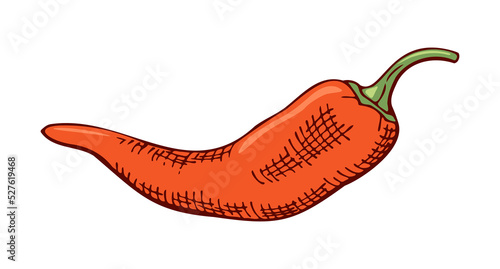 red chili pepper, color drawing, hatching