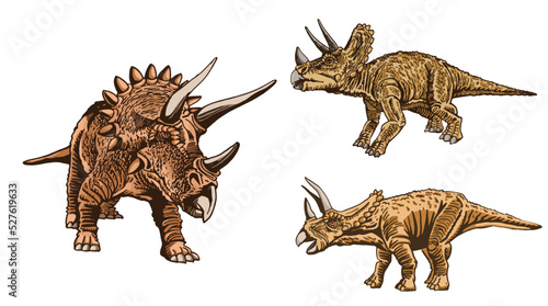 Vector color set of dinosaurs, color triceratopses collection on white isolated.