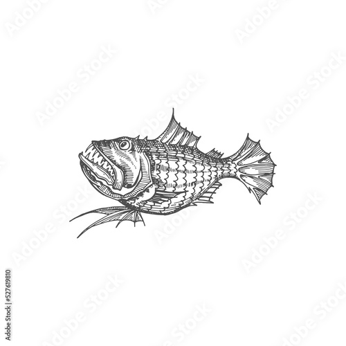 Blobfish hatchet fish isolated giant oarfish monochrome sketch icon. Vector barreleye sloane viperfish, deep sea ocean marine animal with sharp teeth. Wildlife fangtooth anoplogaster monkfish