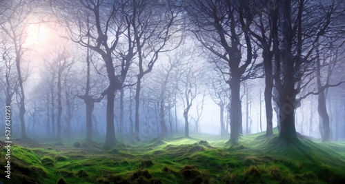 Magic fairy forest in a mysterious haze. Harsh and beautiful Irish landscape. Natural wallpaper. Impressive scene.
