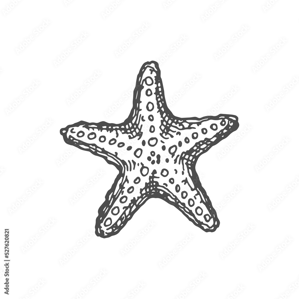 Sea star marine creature isolated coral reef icon. Vector sea-star aquarium and sea bottom decoration, invertebrate animal in sea or ocean Sea star marine creature isolated coral reef icon. Vector sea-star aquarium and sea bottom decoration, invertebrate animal in sea or ocean