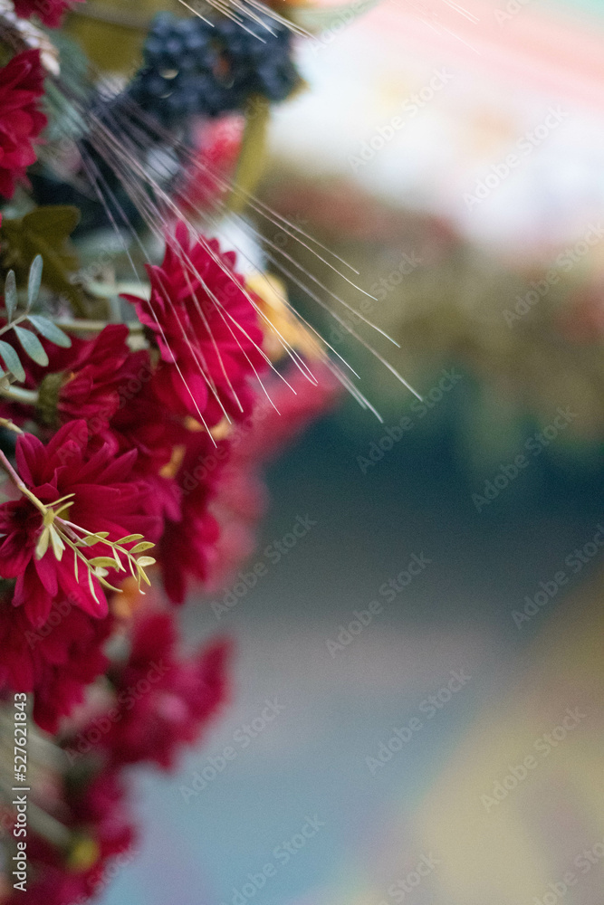 Naklejka premium flowers in the garden