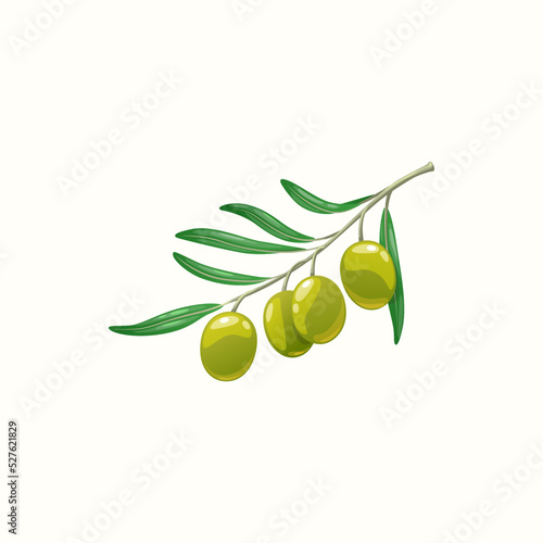 Green olive tree branch with berries and leaves isolated realistic icon. Vector olive ripe fruit, natural cosmetics ingredient. Mediterranean cuisine olives, extra virgin oil italian and greek food