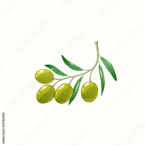 Greek oils on twig with leaves isolated cartoon brunch icon. Vector natural healthy veggies harvest crop emblem, oliva plant berry and leaf. Cosmetics and extra virgin oil food dressing ingredients