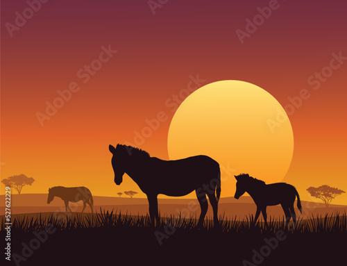 horses on sunset