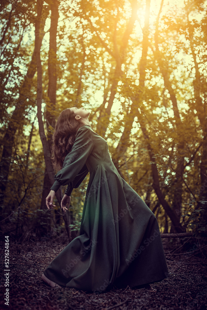 fairy dancing in forest fairy dancing in forest