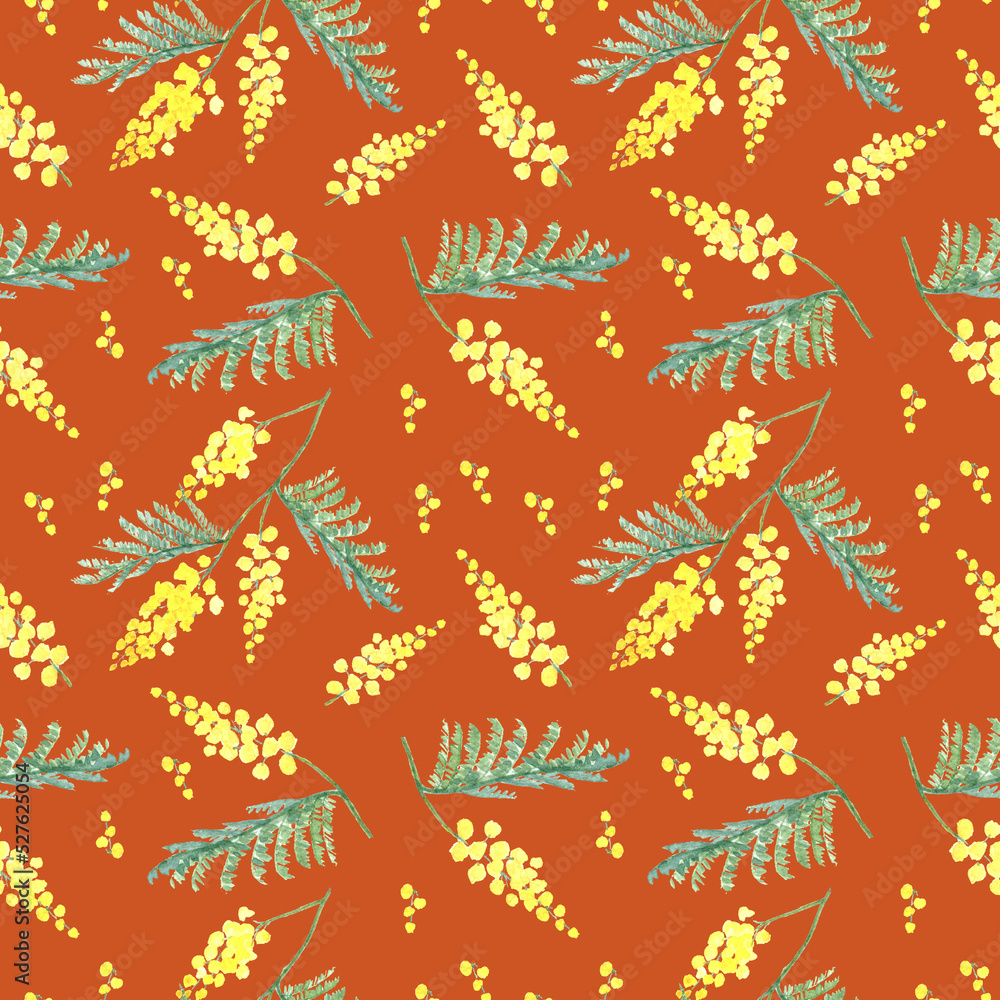 Seamless pattern with Acacia dealbata Seamless pattern with Acacia dealbata