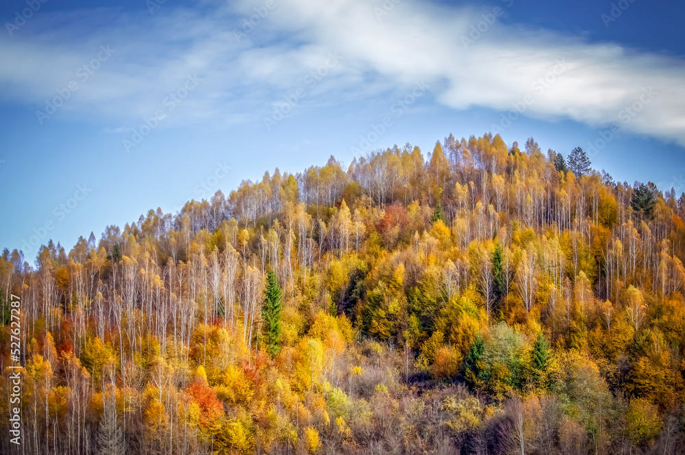 The colors and texture of autumn in beautiful sceneries, landscape, flowers and leaves
