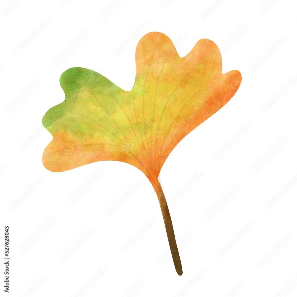 Fototapeta premium autumn leaf 