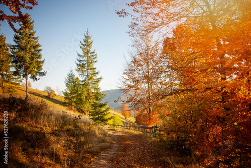 The colors and texture of autumn in beautiful sceneries  landscape  flowers and leaves 