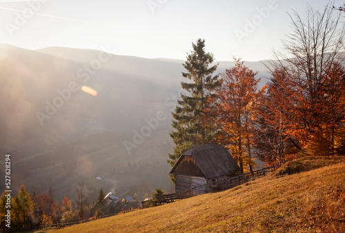 The colors and texture of autumn in beautiful sceneries, landscape, flowers and leaves 