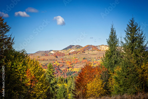 The colors and texture of autumn in beautiful sceneries, landscape, flowers and leaves
 photo