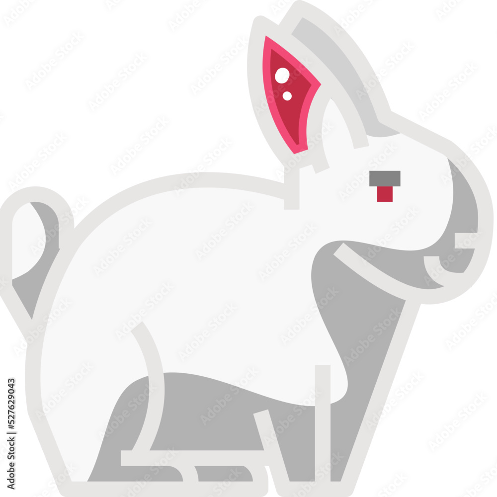 Fototapeta premium rabbit
