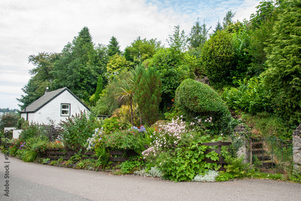 Cute little whitewashed cottage surrounded by flower bushes and greenery in Scotland, United Kingdom