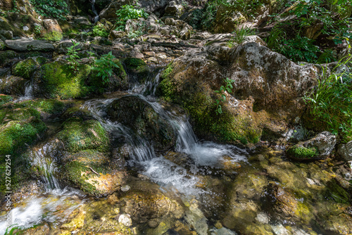 Fontegreca, Campania, Matese Regional Park. La Cipresseta photo