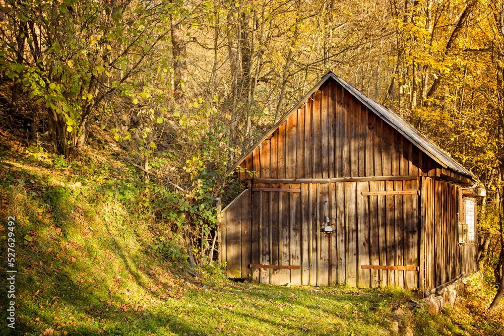 The colors and textures of autumn season in beautiful sceneries, landscape, flowers and leaves The colors and textures of autumn season in beautiful sceneries, landscape, flowers and leaves