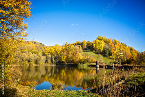 The colors and textures of autumn season in beautiful sceneries, landscape, flowers and leaves photo