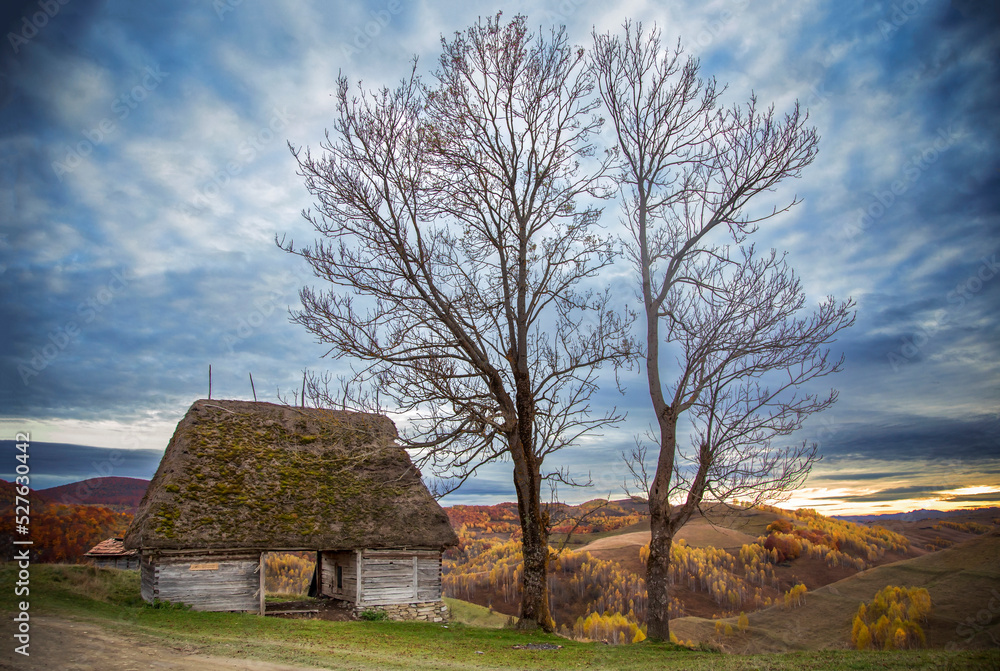 The colors and textures of autumn season in beautiful sceneries, landscape, flowers and leaves The colors and textures of autumn season in beautiful sceneries, landscape, flowers and leaves