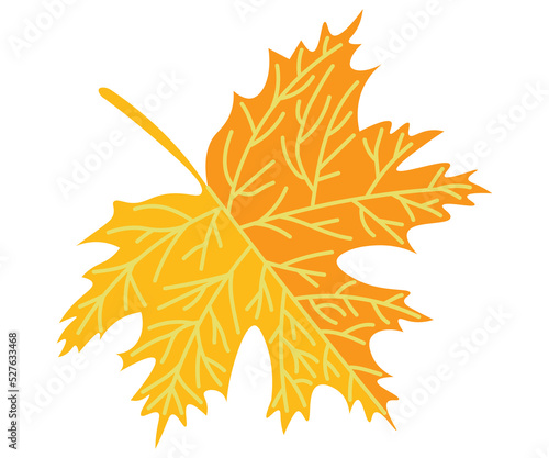 season autumn yellow tree leaves