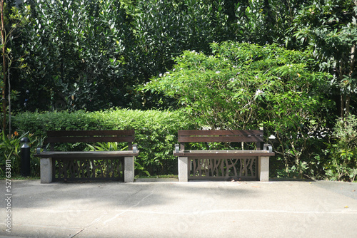 a old wooden bench at garden park