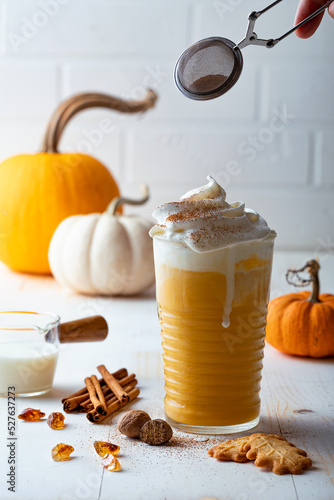 Spicy pumpkin latte with whipped cream. Autumn or winter hot coffee drink with cinnamon, nutmeg and cookies