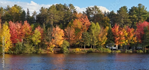 Autumn