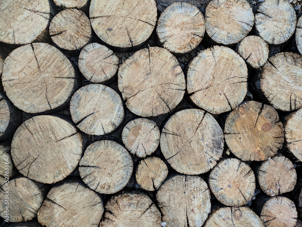 Felled tree trunks, Stack of Wood Stumps. Cutted firewood. Geometric background: natural wooden texture. High quality photo Felled tree trunks, Stack of Wood Stumps. Cutted firewood. Geometric background: natural wooden texture. High quality photo
