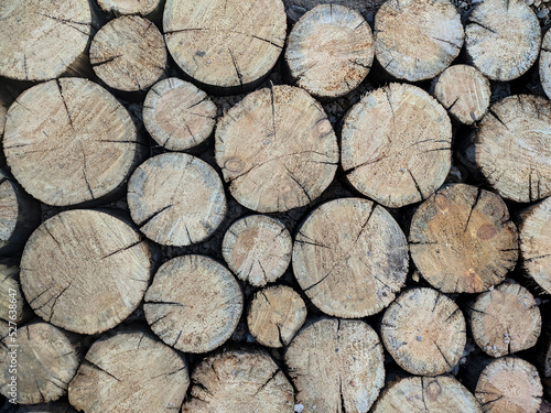 Felled tree trunks, Stack of Wood Stumps. Cutted firewood. Geometric background: natural wooden texture. High quality photo