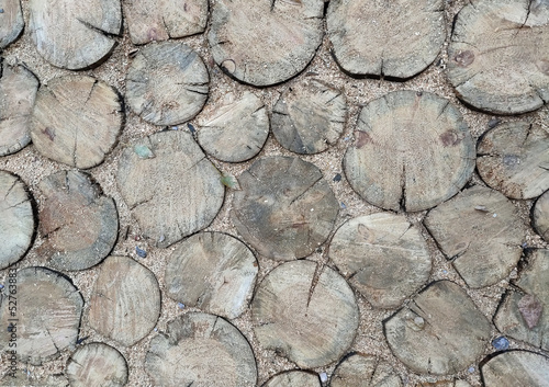 Felled tree trunks, Stack of Wood Stumps. Cutted firewood. Geometric background: natural wooden texture. High quality photo