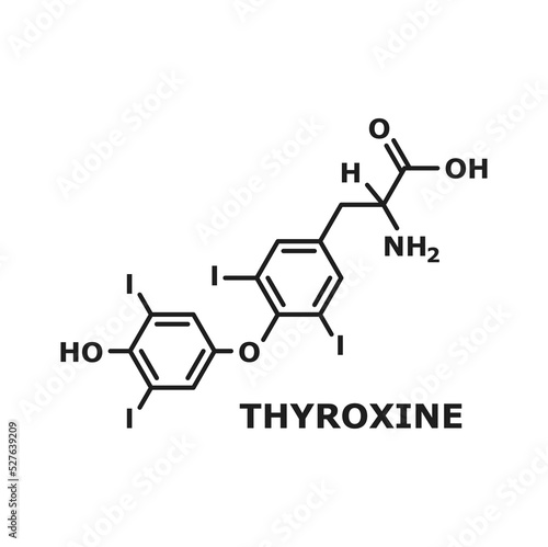 Thyroxine T4, levothyroxine thyroid hormone isolated chemical molecule structure, thin line skeletal formula. Vector prohormone of thyronine T3, human body hormone used as drug to treat hypothyroidism