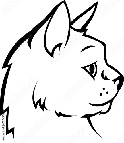 An illustration of a cat fa...
