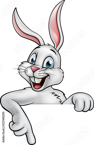 Cartoon Easter Bunny Rabbit