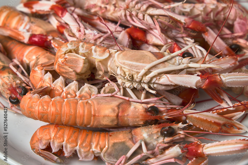 Norway lobster roe. Bowl with several crayfish. White bowl on a black table. Norway lobster roe. Bowl with several crayfish. White bowl on a black table.