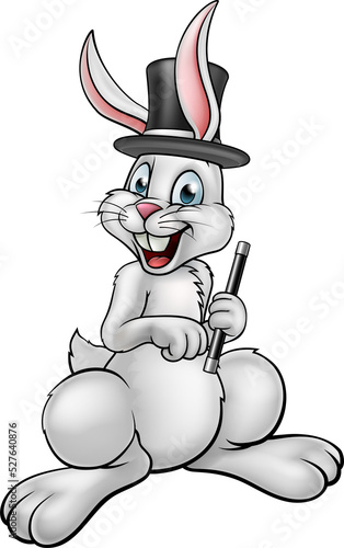 Rabbit Magician with Hat and Magic Wand photo