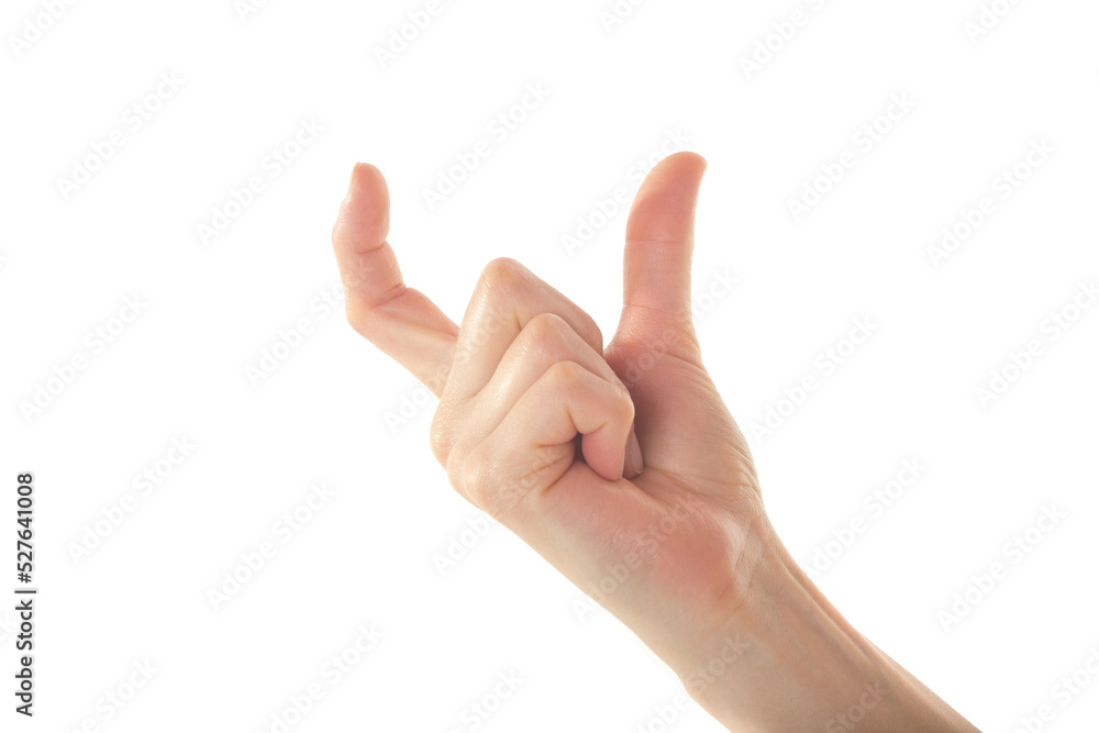 Female Hand is Presenting Something on Isolated White Background Female Hand is Presenting Something on Isolated White Background