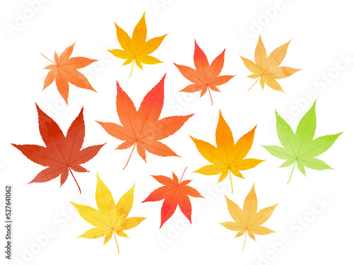 紅葉　葉　秋　もみじ　日本　水彩風　赤
