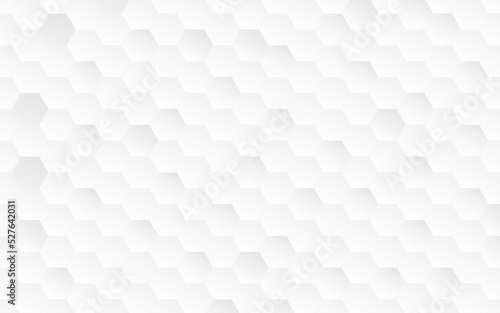 Fototapeta Naklejka Na Ścianę i Meble -  light shade gray technology white abstract wide design of rectangle hexagon pattern artwork creative background