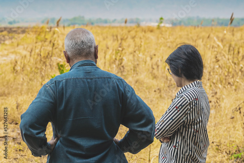 Back view of elderly couple farmers discuss soil quality for farming in field. Lovers agriculturist consult each other about cultivation in meadow. Farm and agricultural business after retirement.