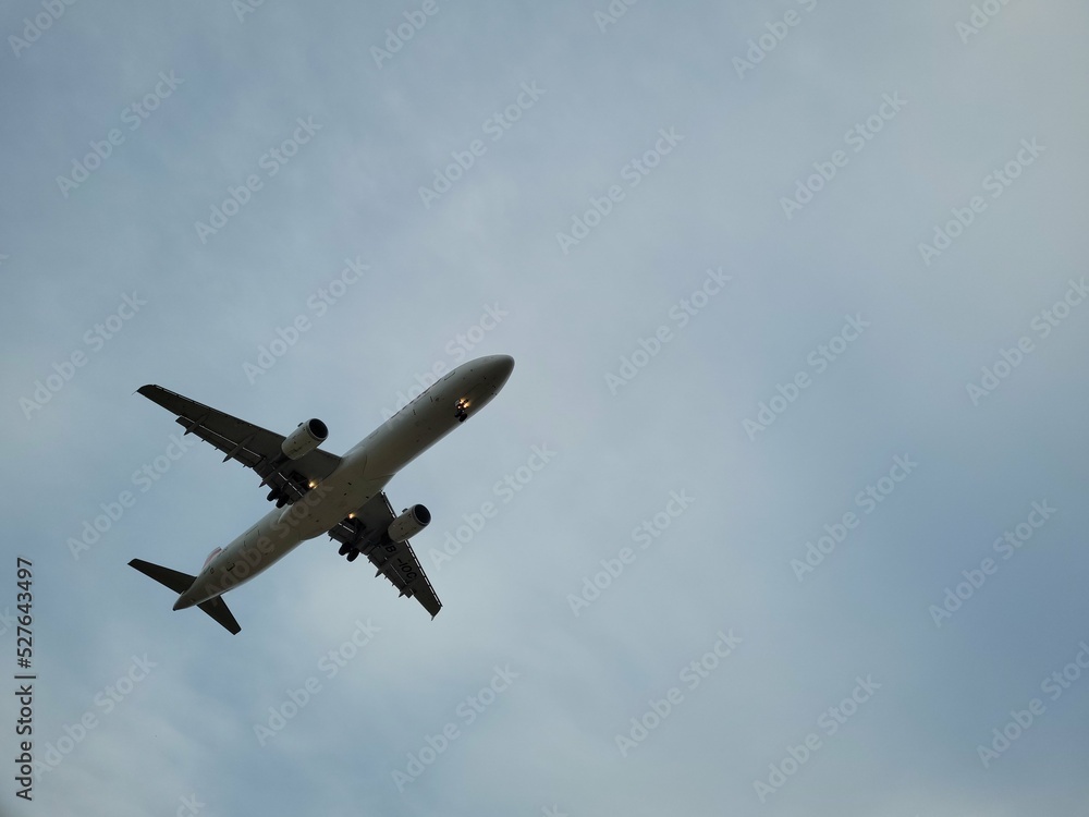 Airplane in flight. Landing in the airport. Airplane in flight. Landing in the airport.