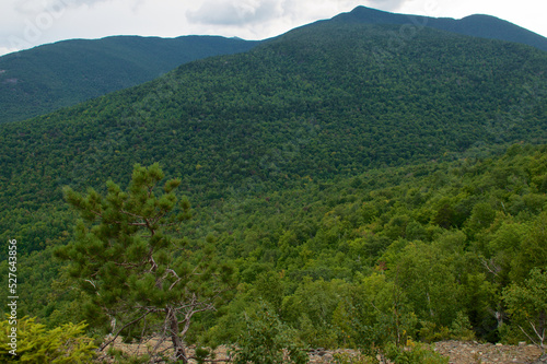 Peaceful scenic landscape view of the Adirondack mountains from the top of Cobble Lookout in Wilmington, New York on a summer afternoon. Esther, Whiteface, and Giant Mountains can be seen in distance.