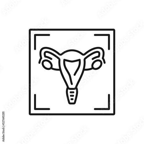 Gynecology ultrasound isolated mri scan outline icon. Vector uterus and ovaries medical examination, obstetrics, computed tomography imaging