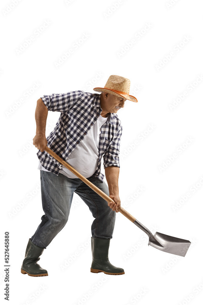 Full length shot of a farmer digging with a shovel - obrazy, fototapety, plakaty 